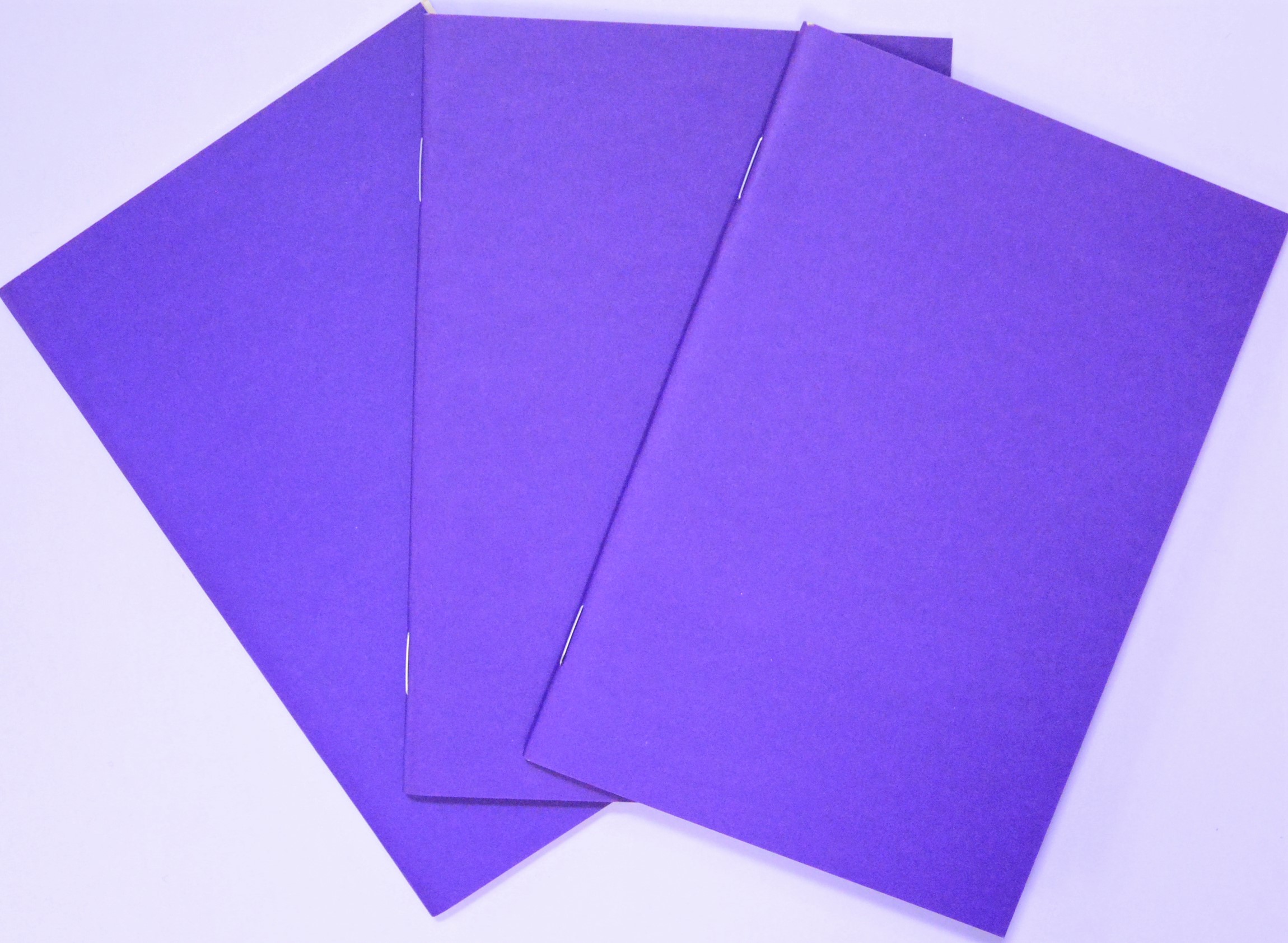 Think and Command Notebook (3-pack Purple)